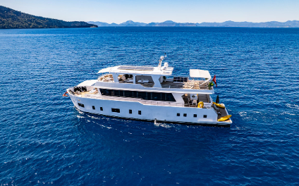 Trawler (Motor Yat) Lila